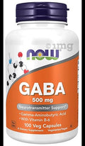 Now Foods GABA 500mg Veg Capsule
