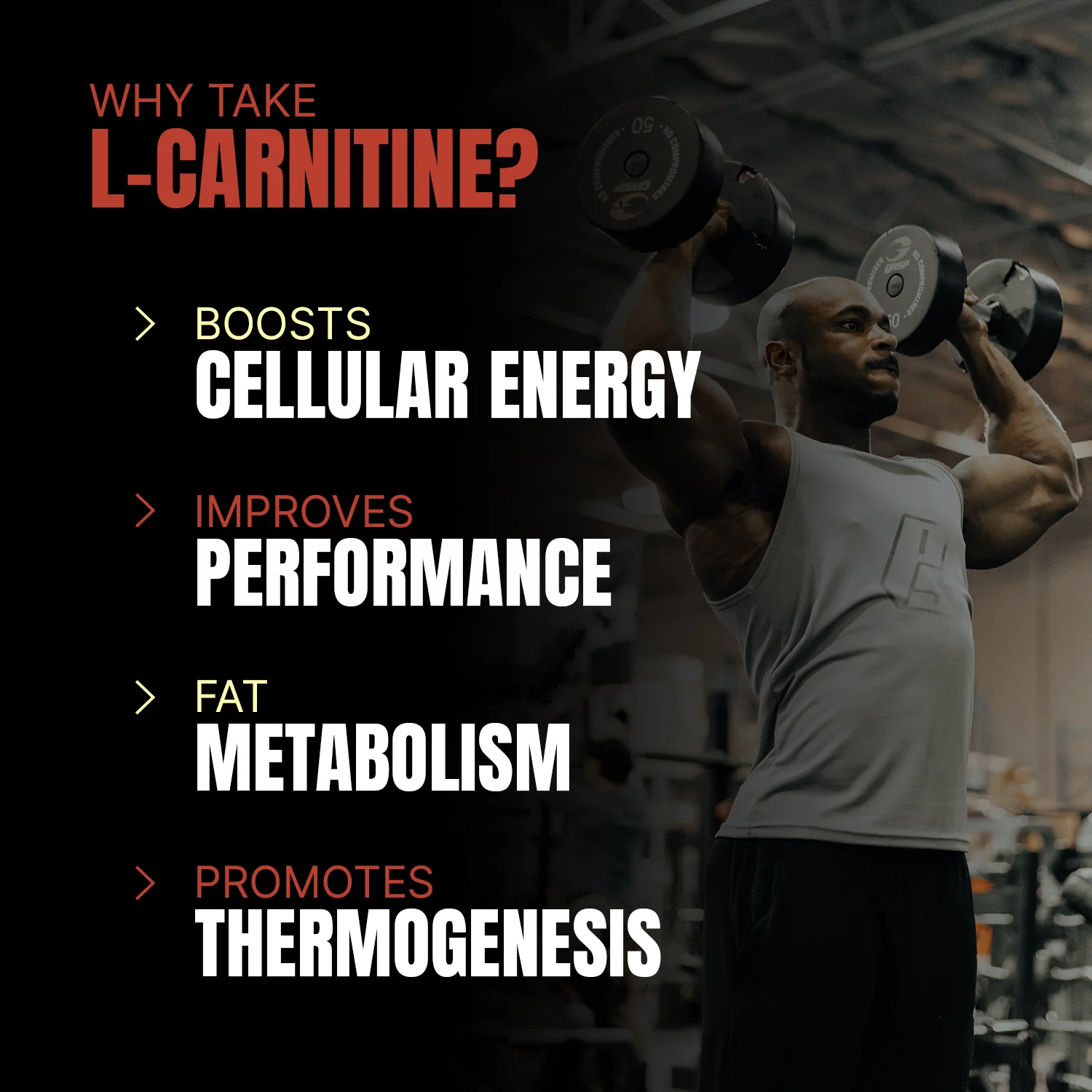 Prosupps L-Carnitine Liquid