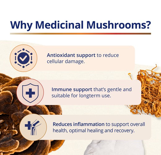Canprev Reishi Full Spectrum
