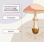 Canprev Reishi Full Spectrum
